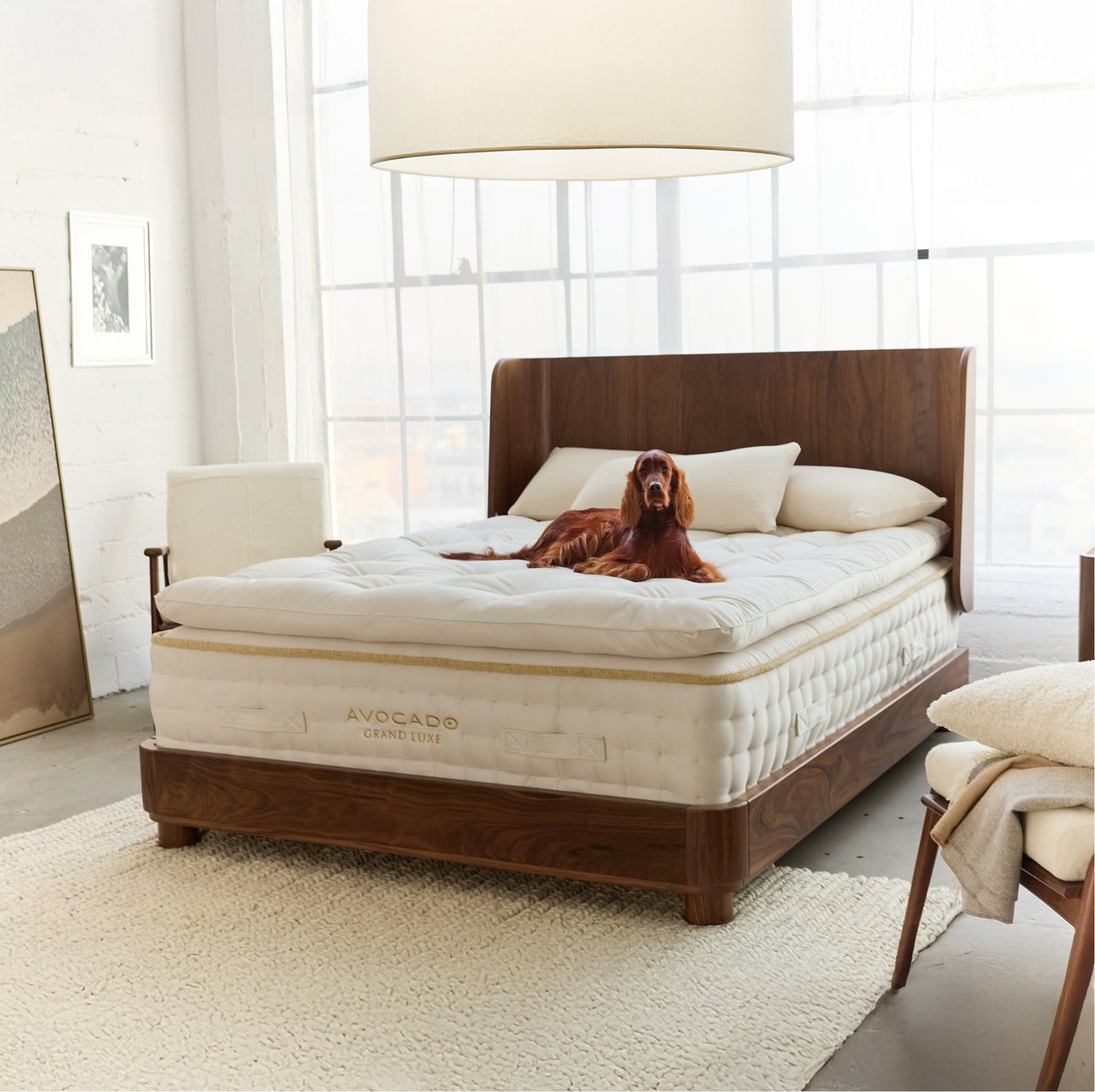 Eco-Friendly Mattress: Stylish, Sustainable Home Solutions